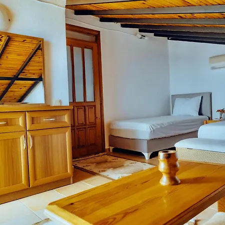 Villa Kirlangic *